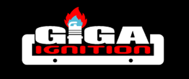 GIGA Ignition coil