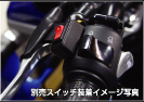 ピットレーンリミッター ピットレーンリミッター